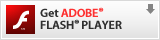 Ladda ner Adobe Flash Player